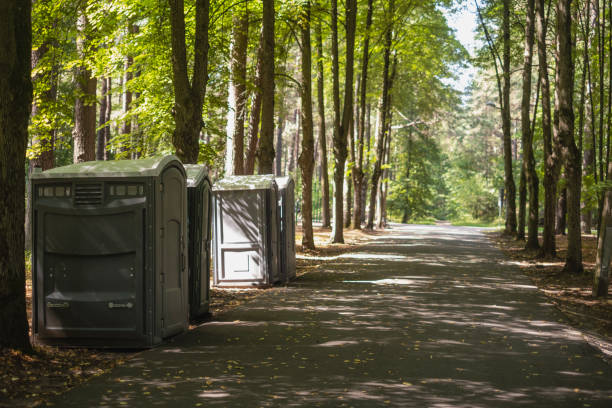 Best Porta potty delivery and setup  in St Johns, AZ